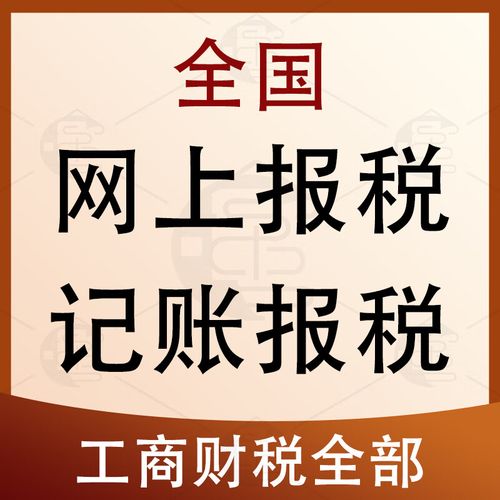 嘉兴市代理记账申报财税咨询财务报表报税代账税务申报财务咨询0申报